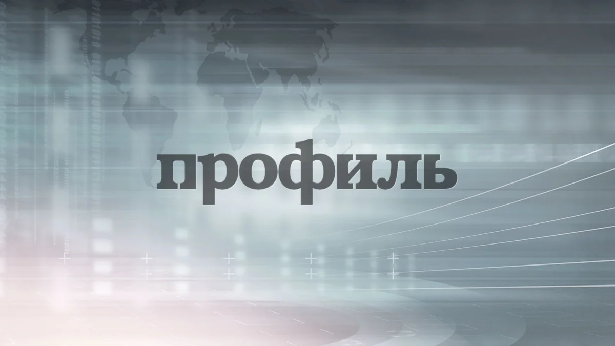 Казанские исследователи разработали новый метод анализа пористых материалов