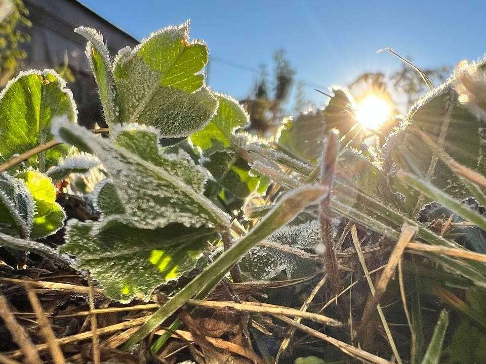 Синоптики рассказали, когда в Подмосковье придут морозы. Спойлер: уже скоро!