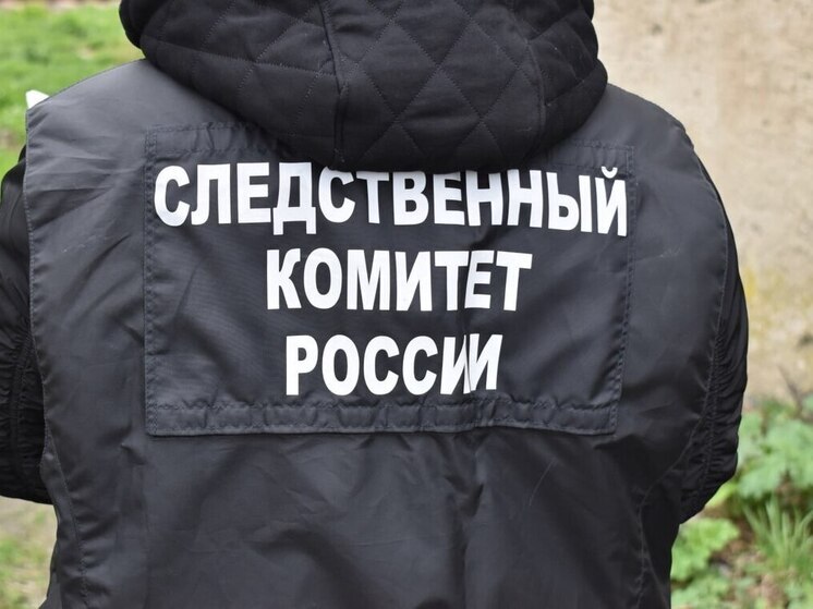 На жителя Поронайского района завели уголовное дело за угрозу полицейскому в больнице Томари