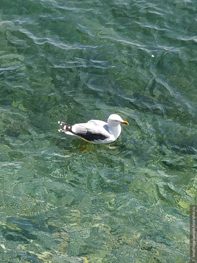 Немного весеннего итальянского моря 
