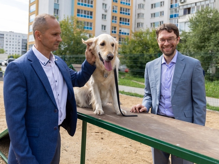 В Орджоникидзевском районе открылись две площадки для собак