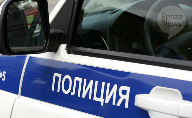 Жительница Пензенской области стала жертвой мошенничества при попытке купить автомобиль за 3,5 млн. рублей. Фото из архива ИА «PenzaNews»