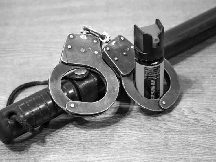 В Челябинской области пойманы браконьеры, убивавшие лосей и кабанов