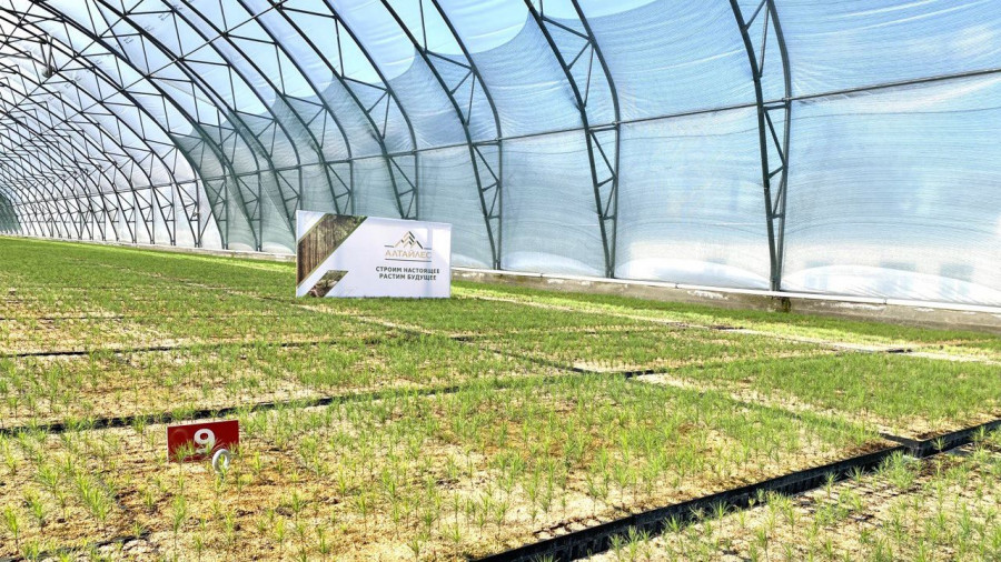 В с. Вылково открыли центр по выращиванию сеянцев с закрытой корневой системой.