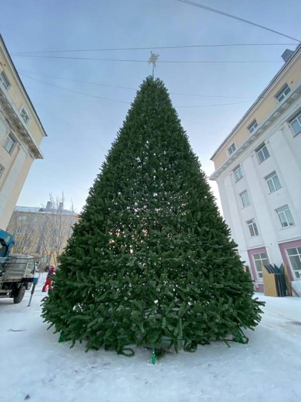 Декоративные елки разновидности. Фигурка елка с подсветкой. Nachtmann елка новогодняя. Елка 16. Новогодний мармелад.