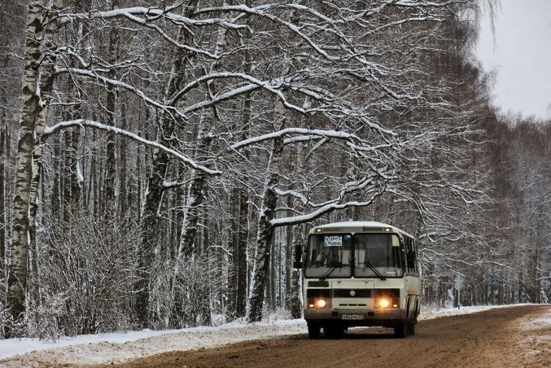 курган новости