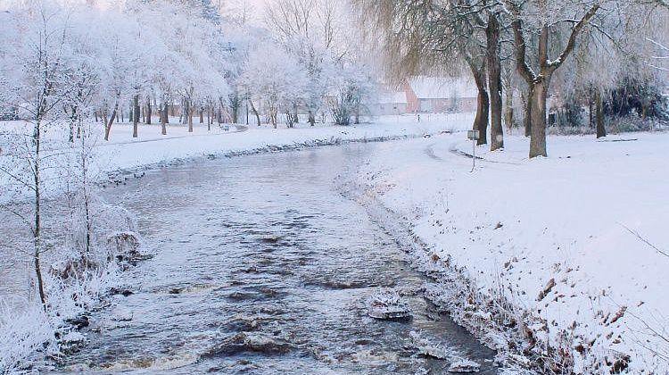 На Кубани тает лед! И снег: экстренное предупреждение, возможны подтопления реками