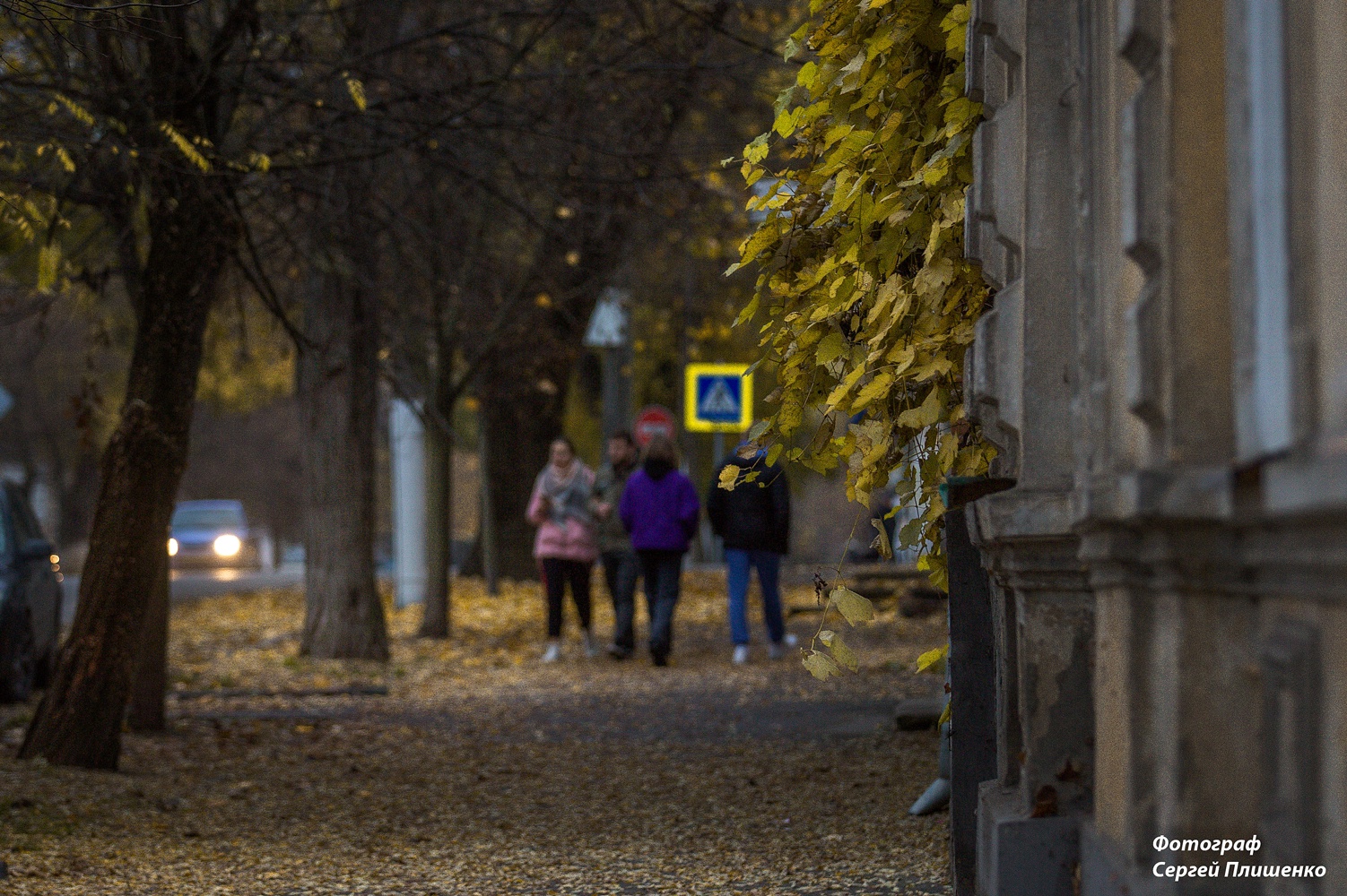 Погода в таганроге на неделю. Теплая погода. Осень Таганрог дождь. 19 Октября. Теплые дни октября.