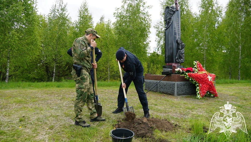 Росгвардейцы высадили саженцы хвойных пород на аллее памяти в Брянской области