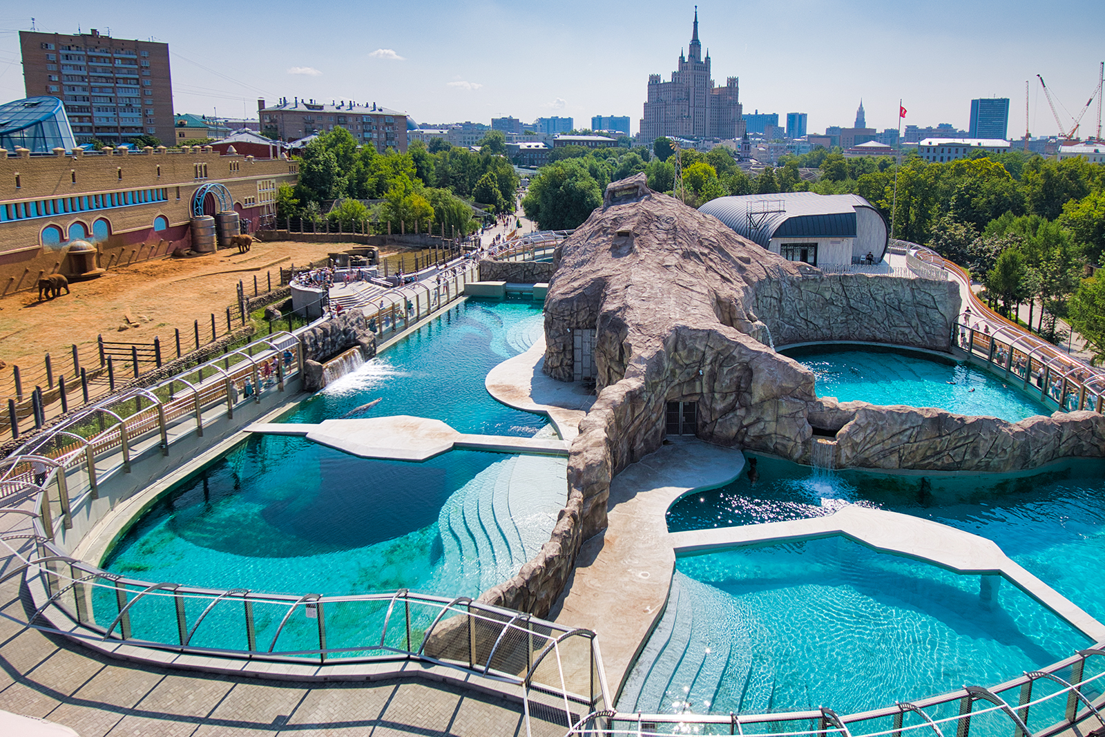 зоопарк в москве животные