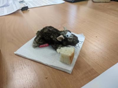 В Саратовской области с начала года 69 человек заболели 