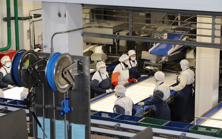Камчатские рыбопромышленники построят три завода по переработке рыбы за право квоты
