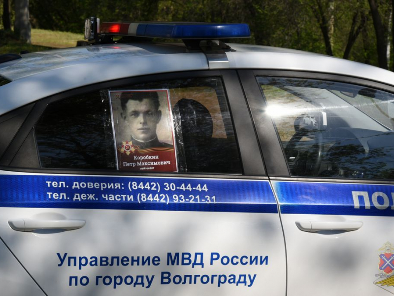 JPG Файл