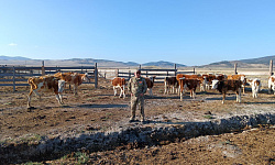 Ветеран СВО строит в Бурятии ферму будущего