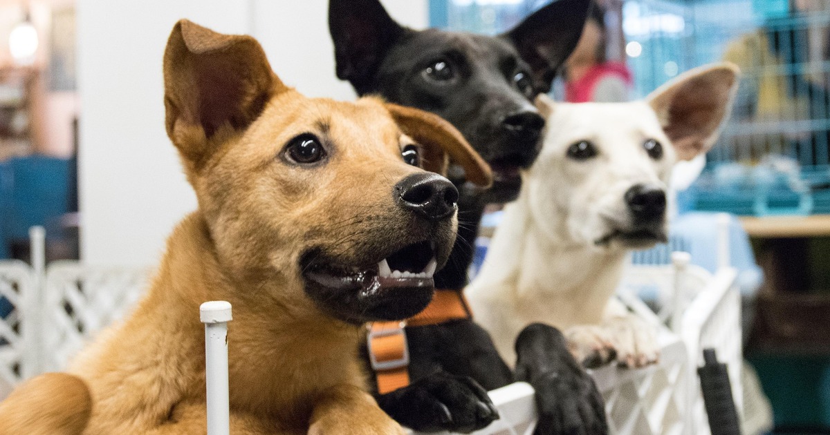 23 ноября организаторы предлагают насыщенную пр...