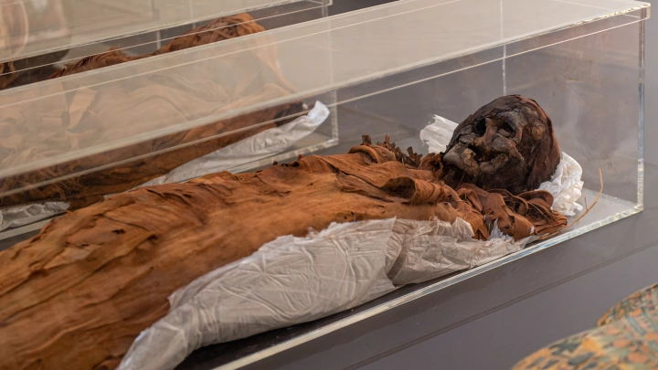 Американские ученые изучили таинственную мумию с человеческими руками