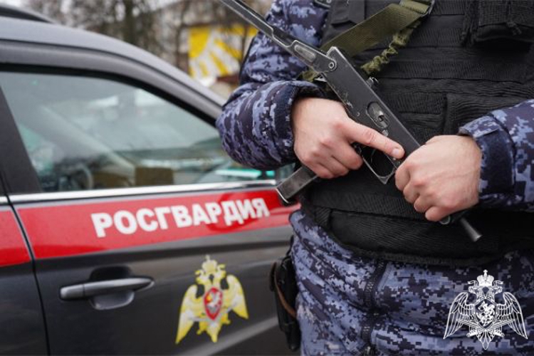 Росгвардейцы задержали мужчину, подозреваемого в мошеннических действиях в Подмосковье (видео)