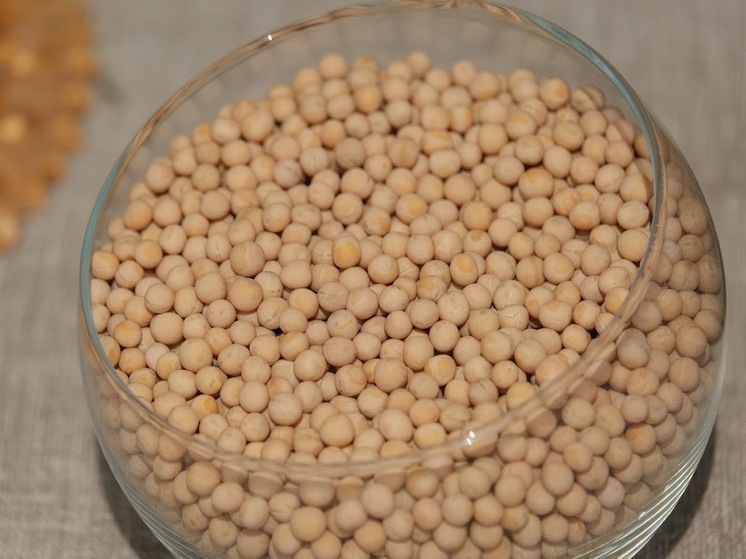 Волгоградские аграрии собрали рекордный урожай зернобобовых культур