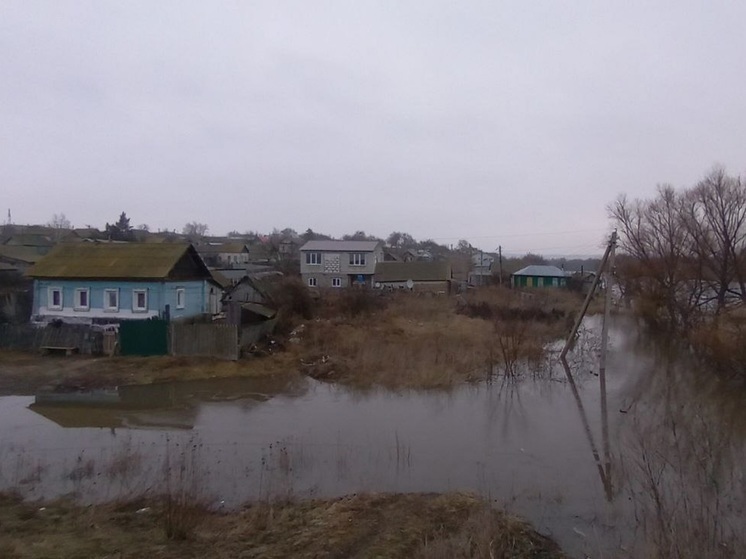Юрий Юрин: Паводок в Саратовской области идёт на спад
