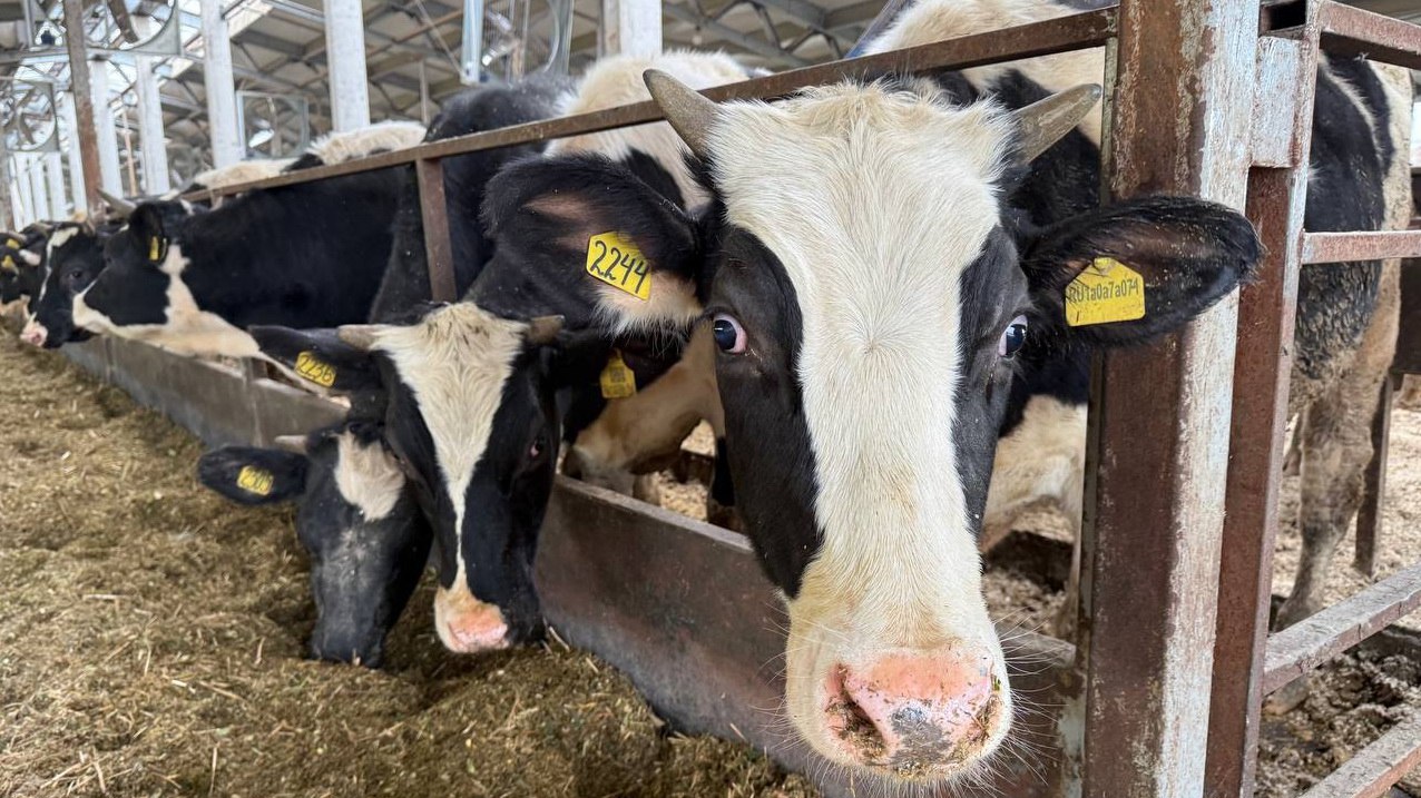 Картинка для новости