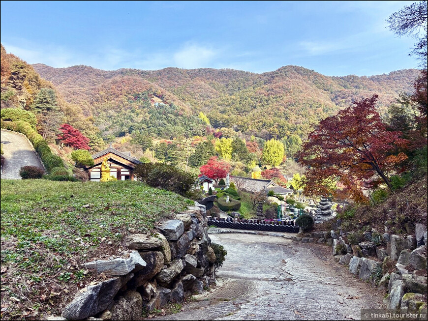 Танпхун - фольклор, этнография и лесной храм