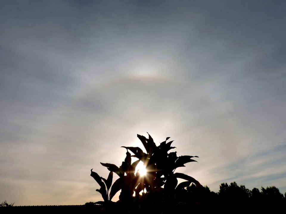Кристаллы льда создали эффект «нимба» вокруг Солнца над Сергиевым Посадом