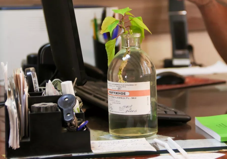 Юрий Тен на рабочем месте