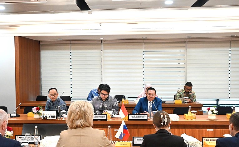 Сенаторы провели переговоры с Равиндрой Аирлангой и председателем Группы дружбы Совета народных представителей Индонезии с нижней палатой российского парламента Вихади Виджаянто