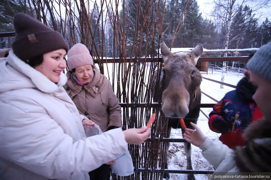 Экскурсия в Челябинскую область