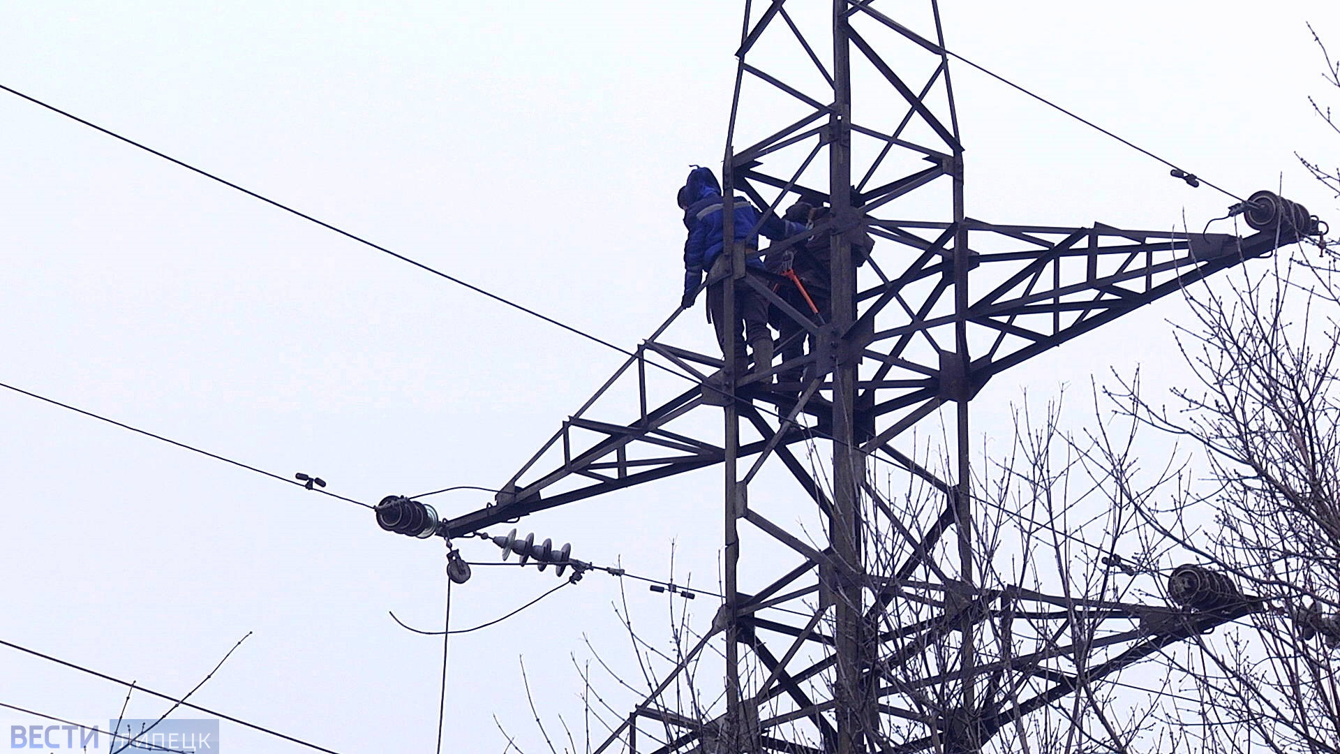 Липецкие пожарные потушили горящие ЛЭП и дерево на Филипченко