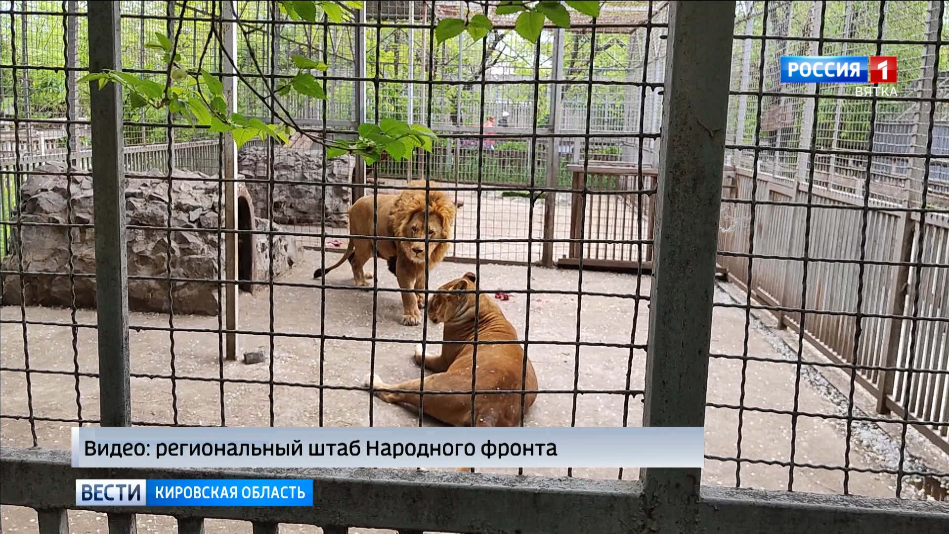 Зоопарк слободской