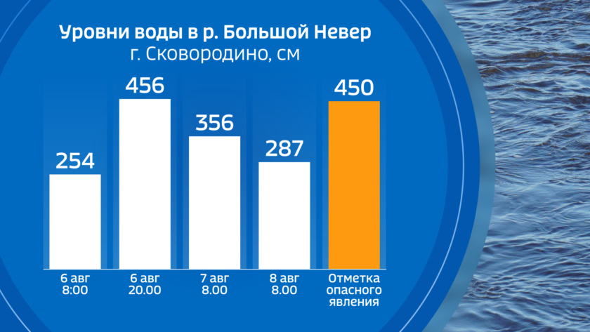 Уровень рек в реальном времени. Уровень рек Амурская область 13 августа 2022 году.