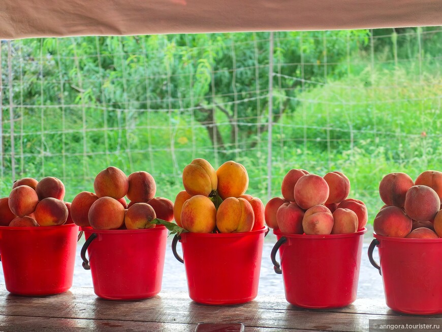 Восточная оконечность Большого Кавказа