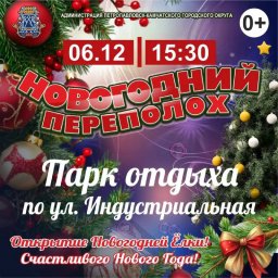 Актуализирован график открытия ёлок в Петропавловске-Камчатском 0