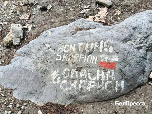 Предупреждение о том, что в горах водятся скорпионы