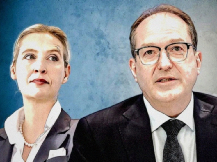 Германия — Экстремизм или поспешный вывод? Кто прав в споре вокруг AfD