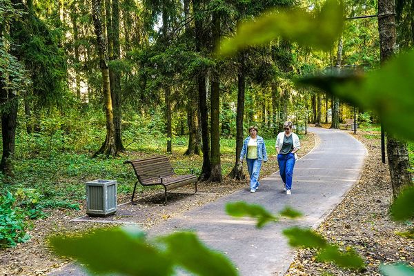 В лесу между МИЭТом и 9-м микрорайоном появится освещение