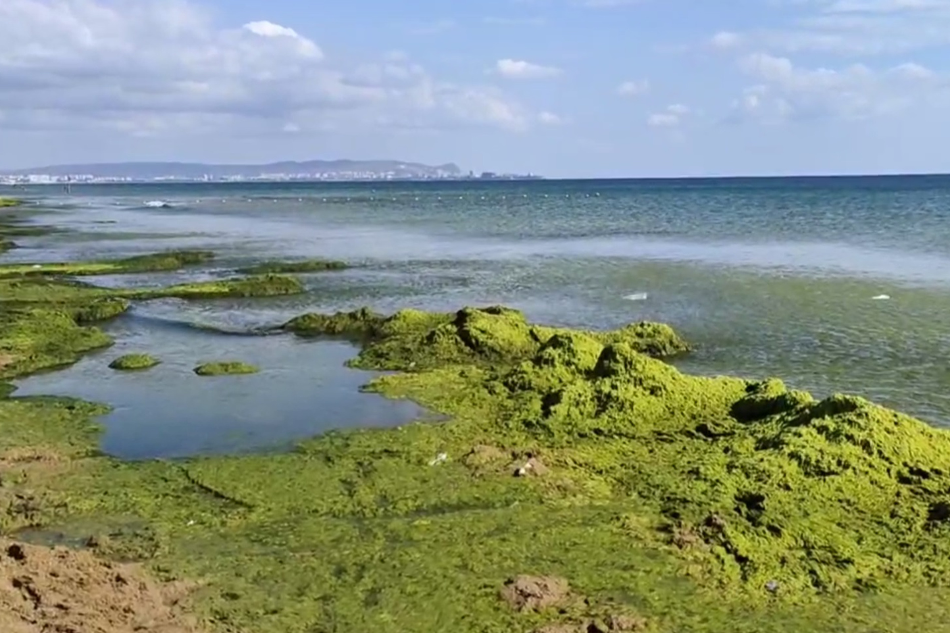 море в витязево