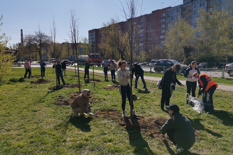 В туле прошел. Посадка деревьев. Субботник Тула. Акция посади дерево. Акция сад памяти.