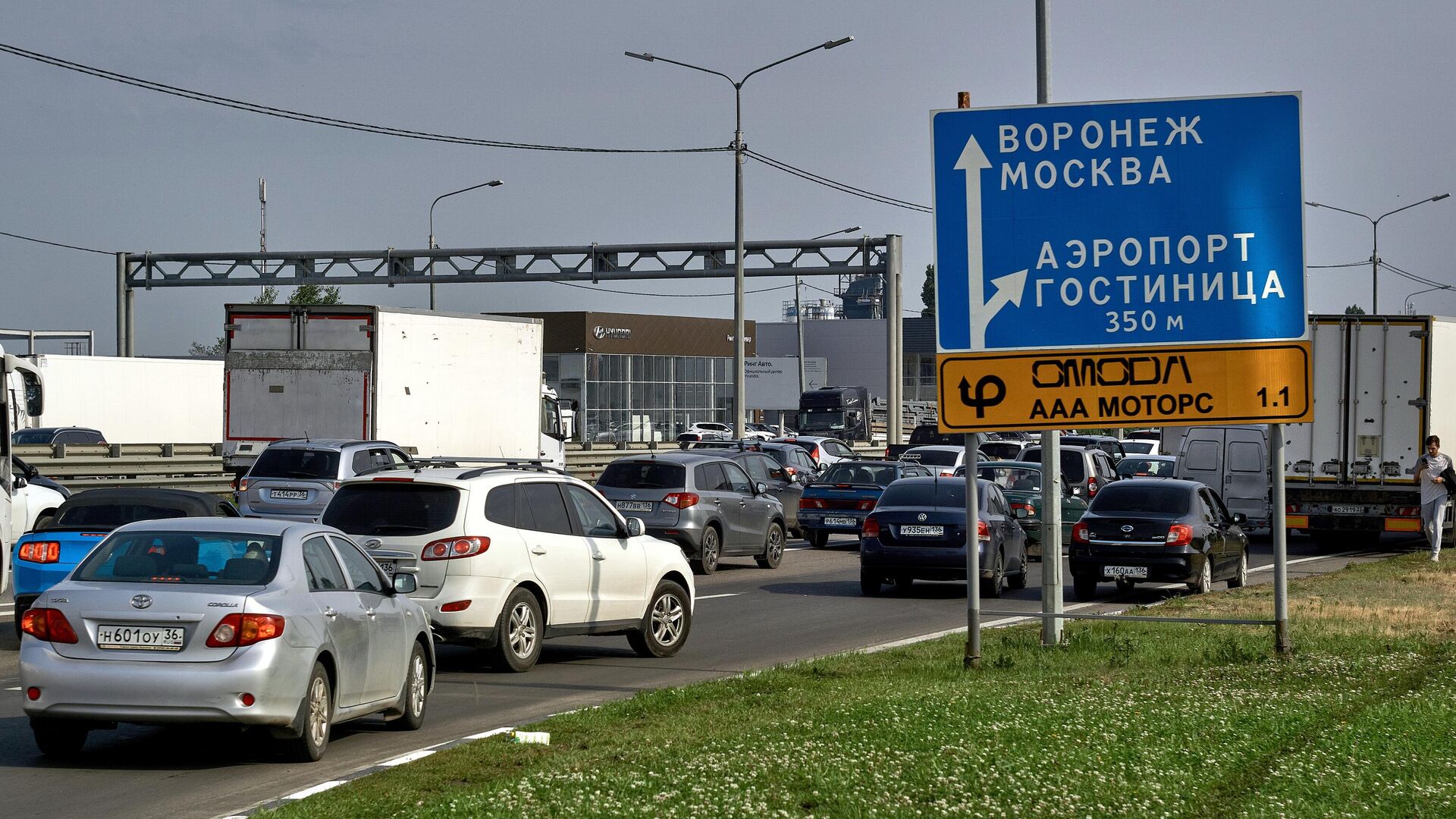 москва липецк