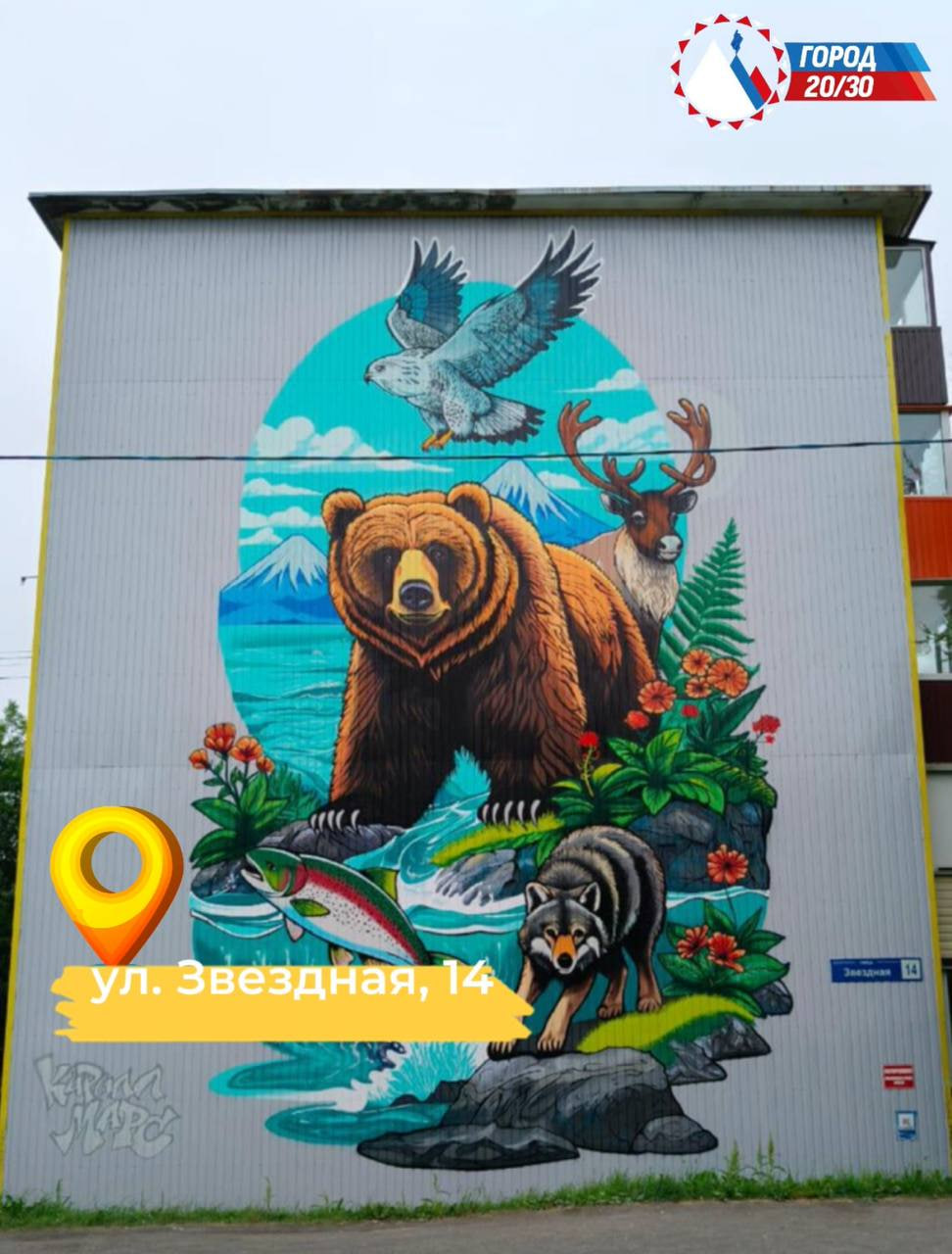 Петропавловск-Камчатский: итоги - 2025. Фестиваль «Авача стрит-арт»