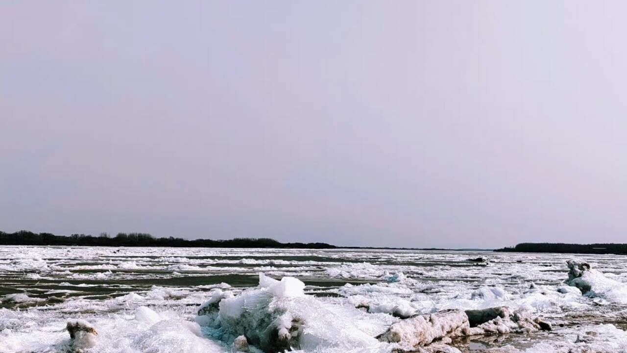 река талая. половодье выбуты псков. река освобождается ото льда. речка освободилась ото льда. река освобождается ото льда.