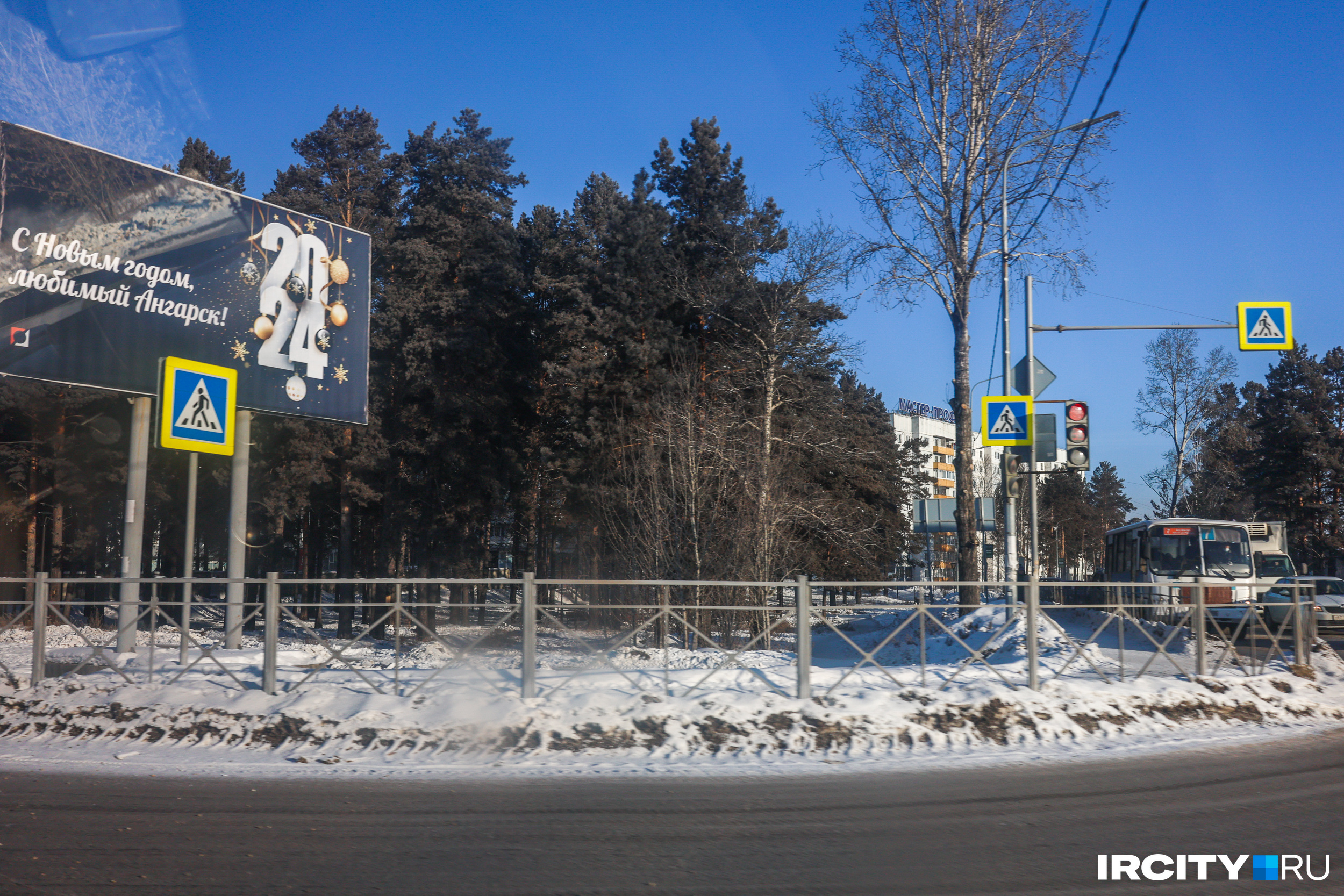 На месте этих деревьев будет «красоваться» очередная многоэтажка