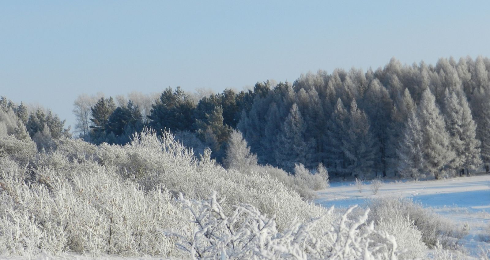 Зима Барнаул Мороз. Алтайский край погода зимой.