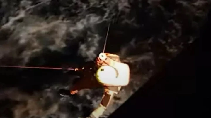 Косатки атаковали и потопили французскую яхту с тремя маленькими детьми на борту