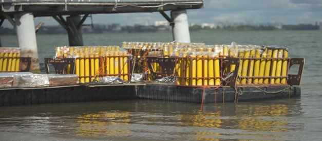 Как ideafix организовали свадьбу уровня отраслевых премий