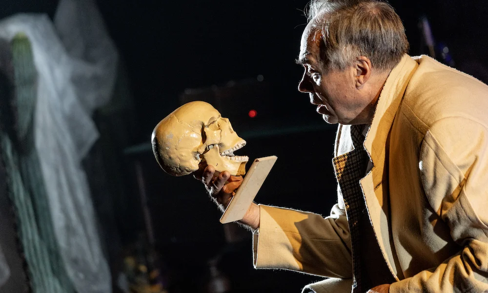 Последний роман