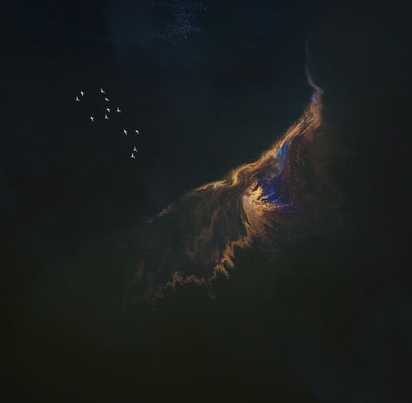 Летящие фламинго у озера на фотографии Сяохуэя Ли из Китая. - Sputnik Абхазия