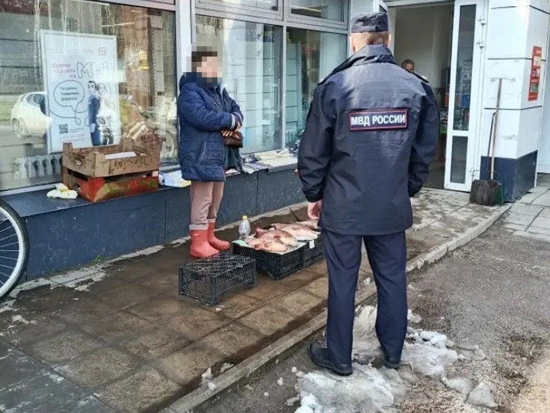 JPG Файл