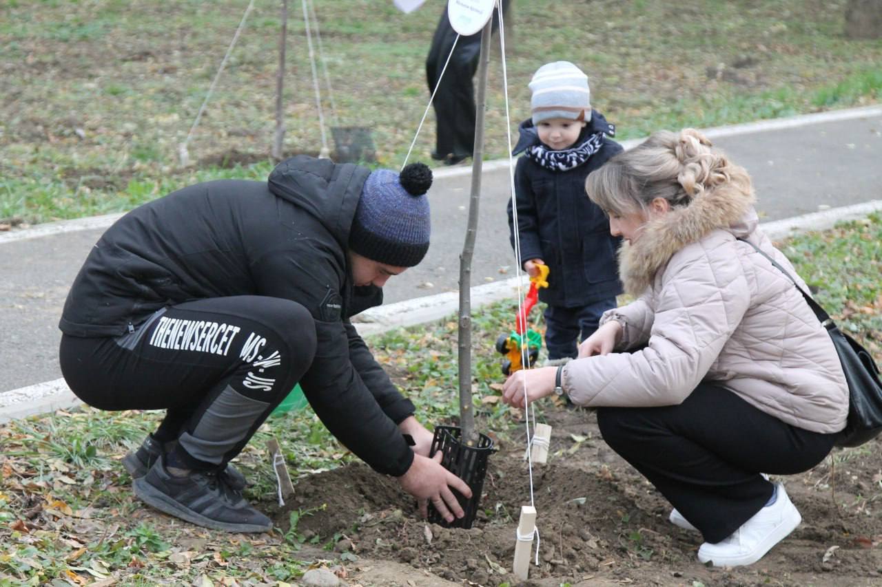 В рамках акции 